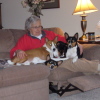 Judith Kirscht, author, at home with the dogs.